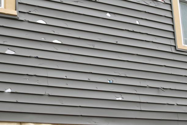 Best Siding Painting and Refinishing  in Discovery Harbour, HI